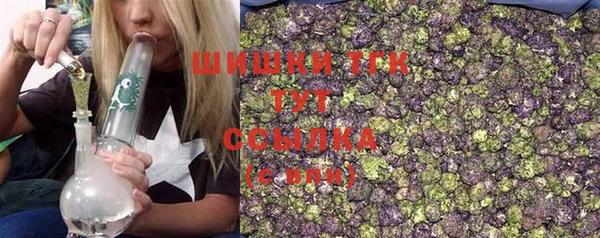 ПСИЛОЦИБИНОВЫЕ ГРИБЫ Каменка