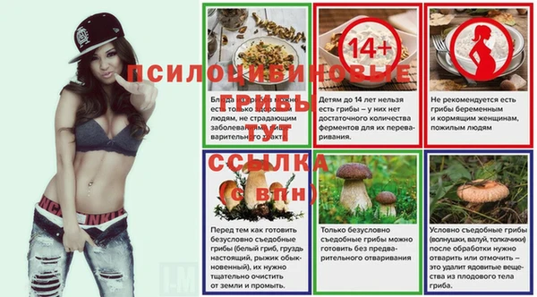 mdma Каменногорск