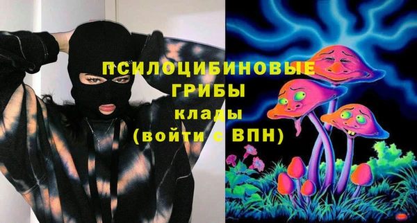 ПСИЛОЦИБИНОВЫЕ ГРИБЫ Каменка