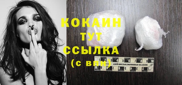 ПСИЛОЦИБИНОВЫЕ ГРИБЫ Каменка