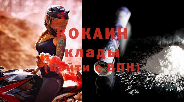 ПСИЛОЦИБИНОВЫЕ ГРИБЫ Каменка