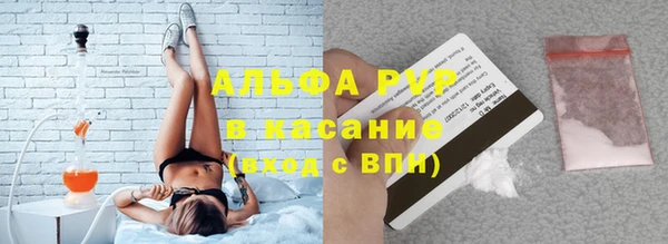 ПСИЛОЦИБИНОВЫЕ ГРИБЫ Каменка