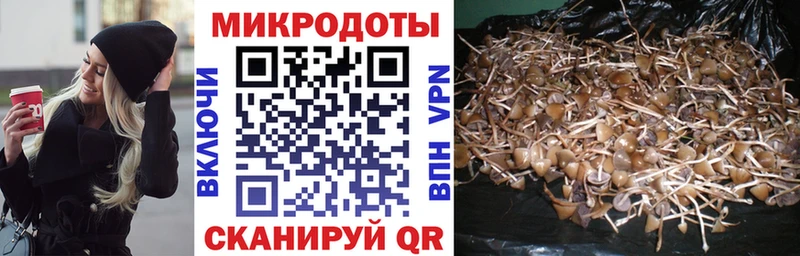 Галлюциногенные грибы мухоморы  Кизляр 