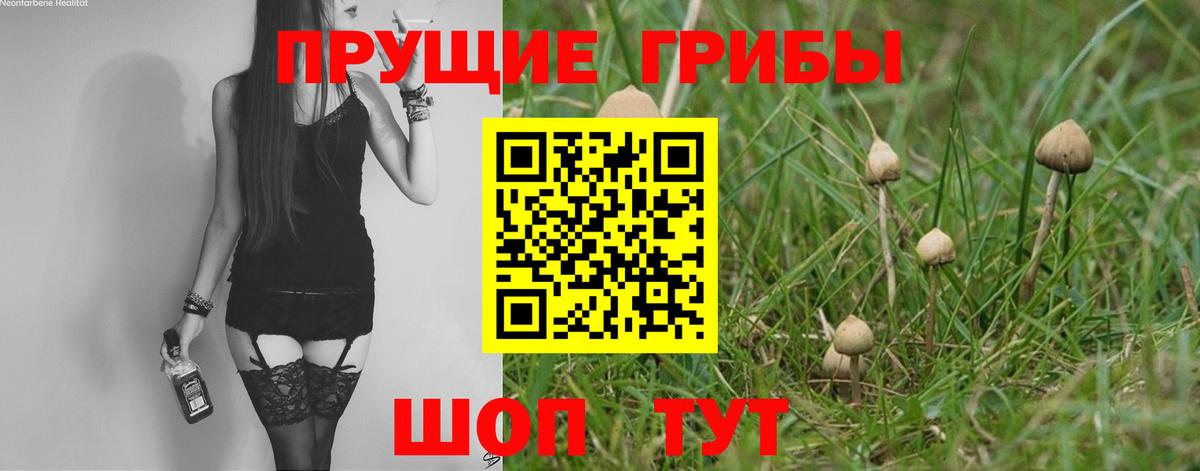 Псилоцибиновые грибы Magic Shrooms  Псилоцибиновые грибы Psilocybe  Вход с VPN  Кизляр 